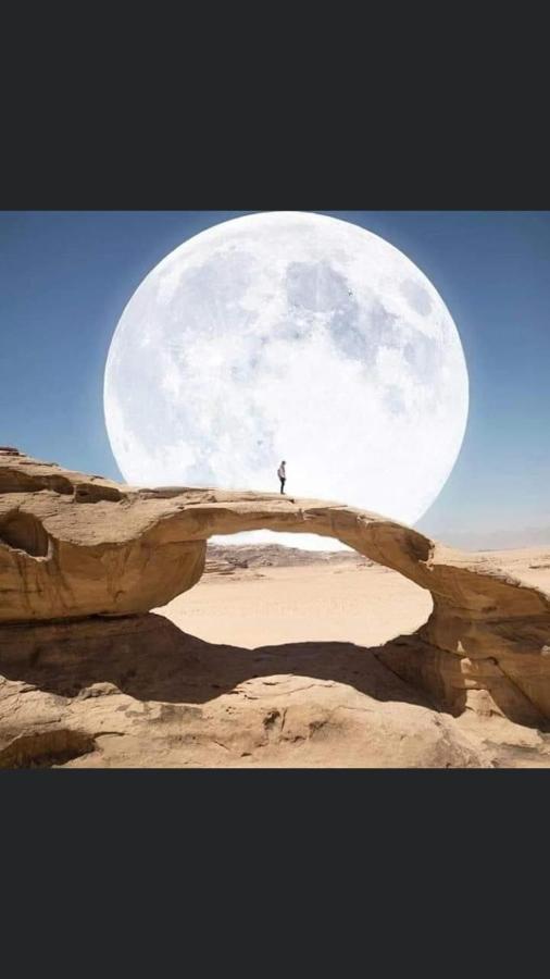Wadi Rum-Bedouin Tents And Jeep Tours Bagian luar foto
