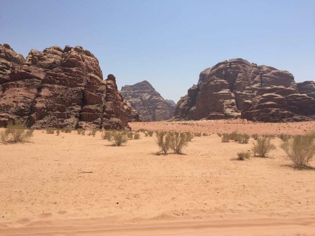 Wadi Rum-Bedouin Tents And Jeep Tours Bagian luar foto