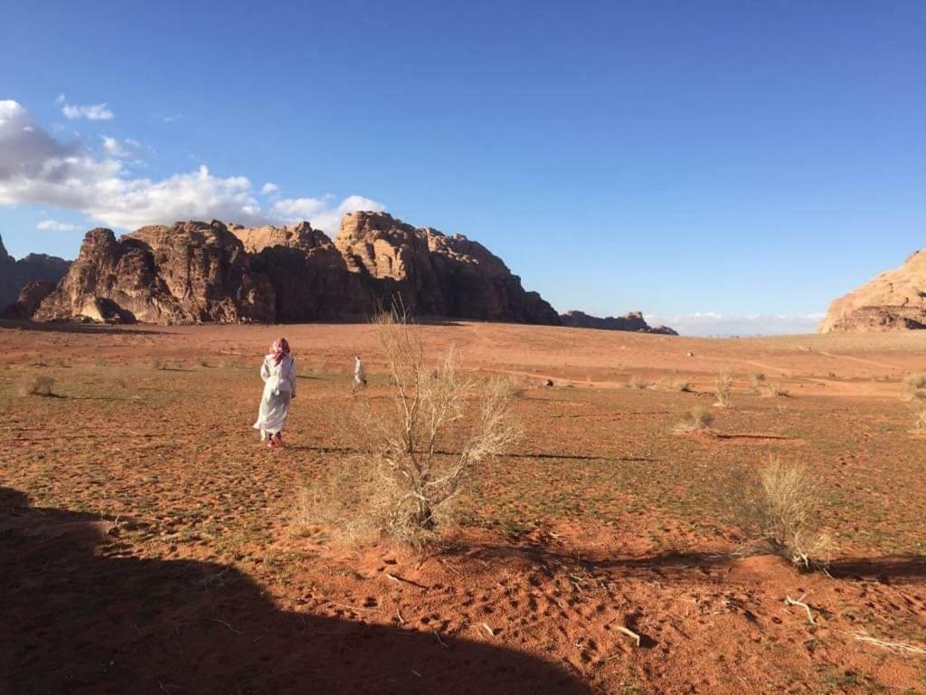 Wadi Rum-Bedouin Tents And Jeep Tours Bagian luar foto
