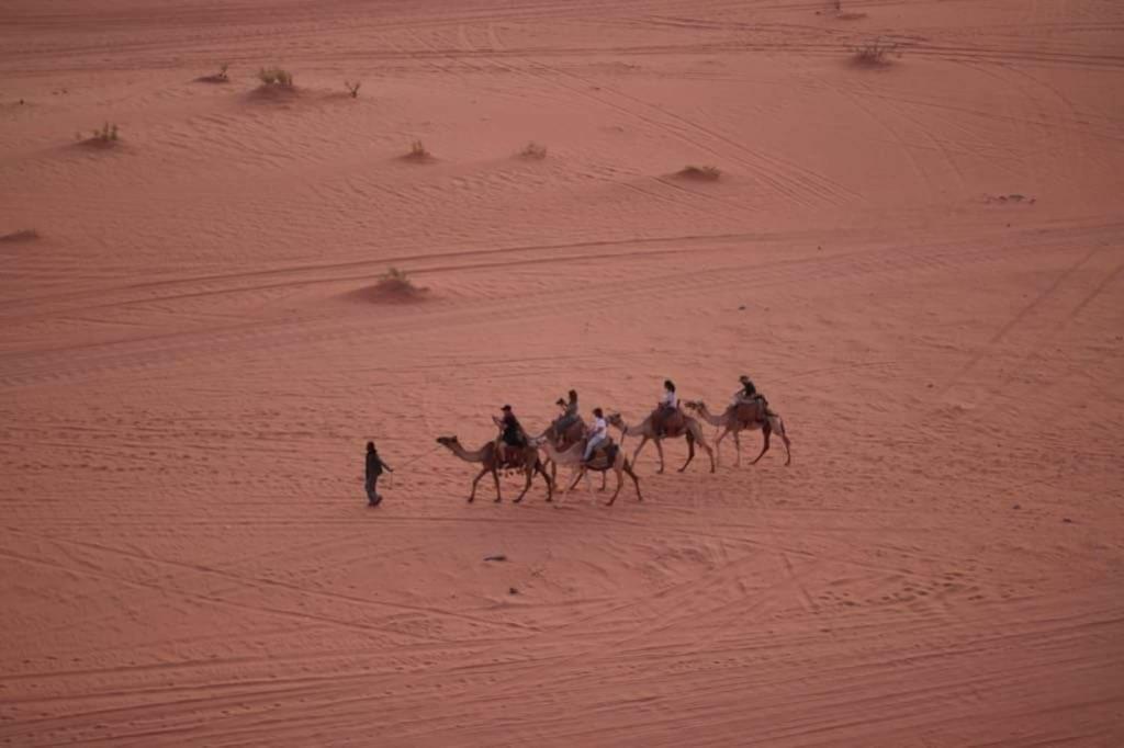 Wadi Rum-Bedouin Tents And Jeep Tours Bagian luar foto