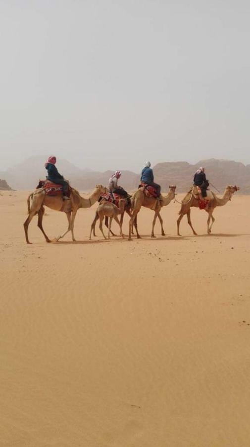 Wadi Rum-Bedouin Tents And Jeep Tours Bagian luar foto